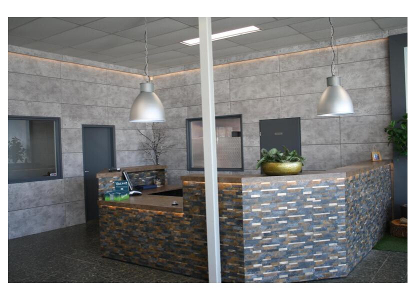 De Luxe Easy 440 SF afbeelding