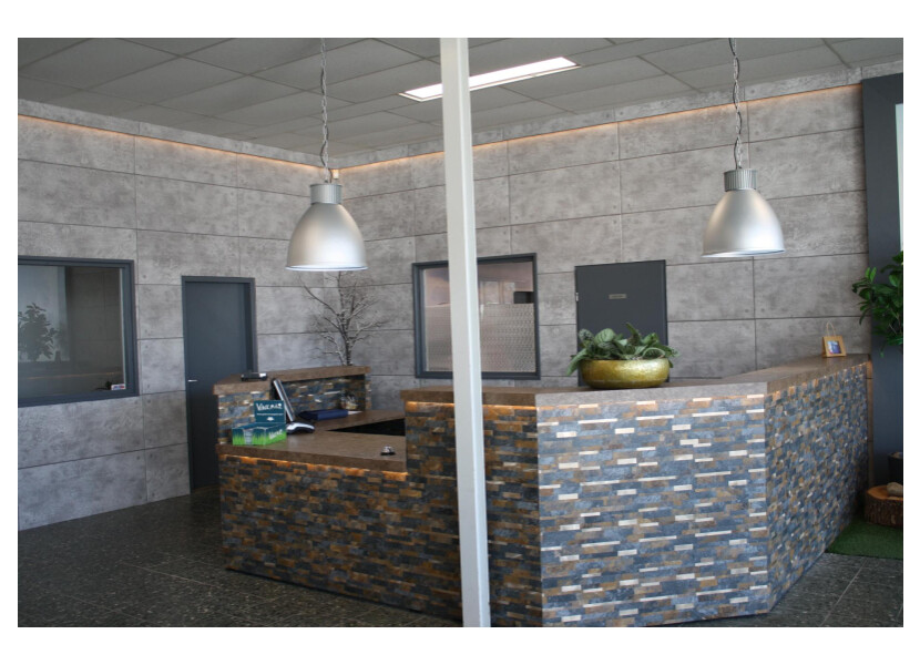 De Luxe 400 SF afbeelding