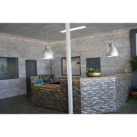 Generation 465 FR afbeelding